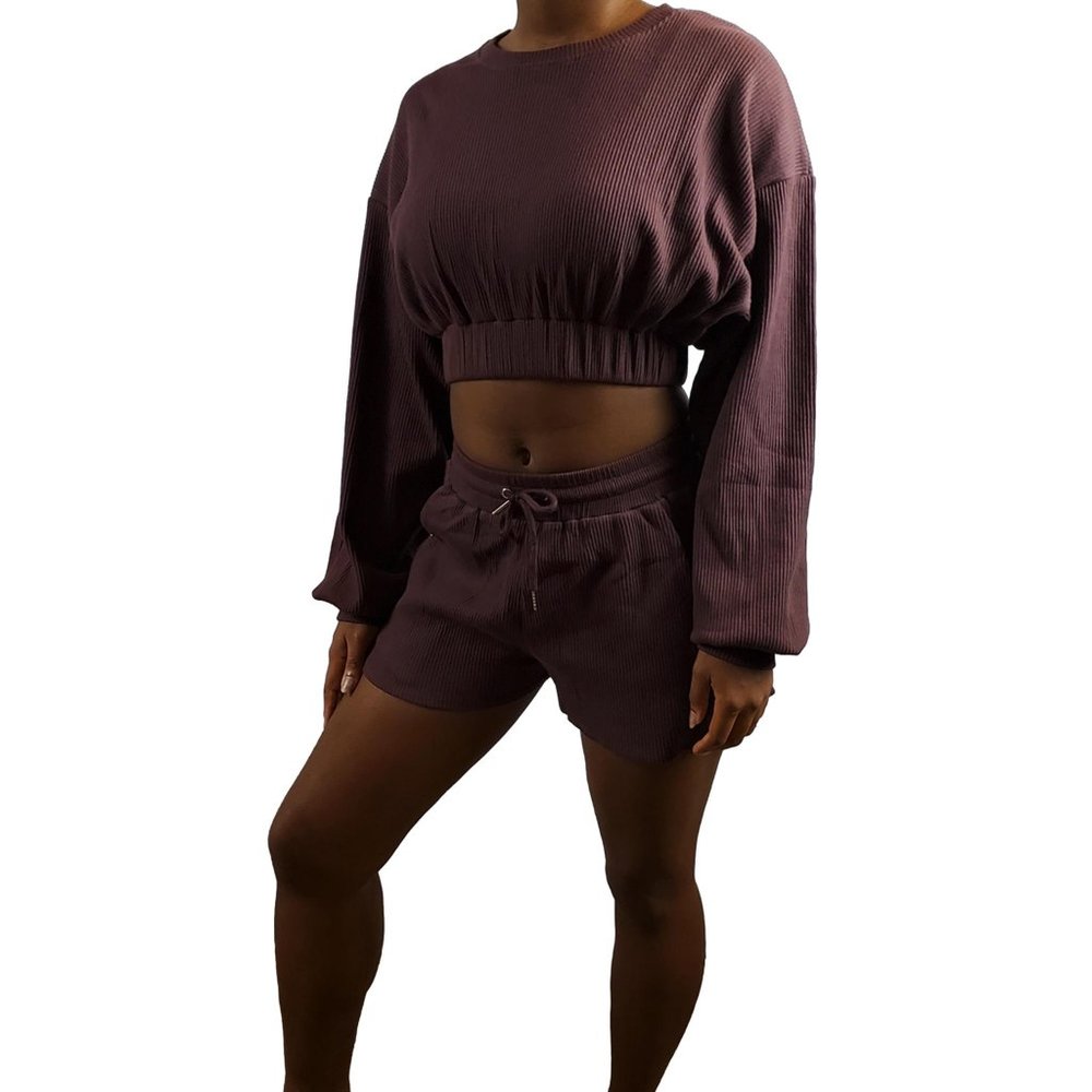 NWOT - Long-Sleeved Cropped Top + Shorts Casual Lounge Set